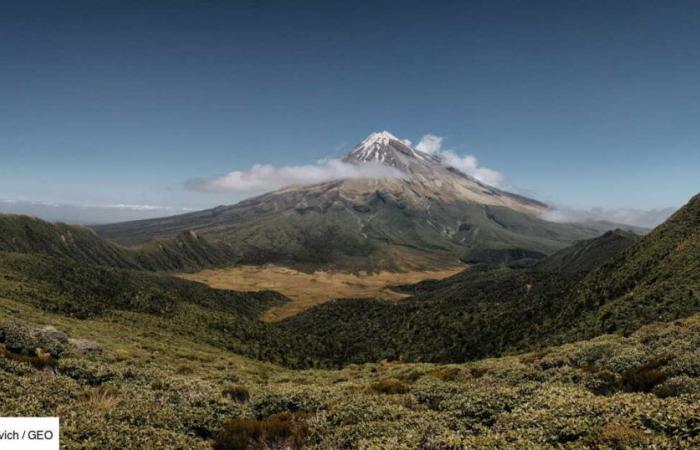 Siete buenas noticias para el clima y el planeta que pasaron desapercibidas en 2024