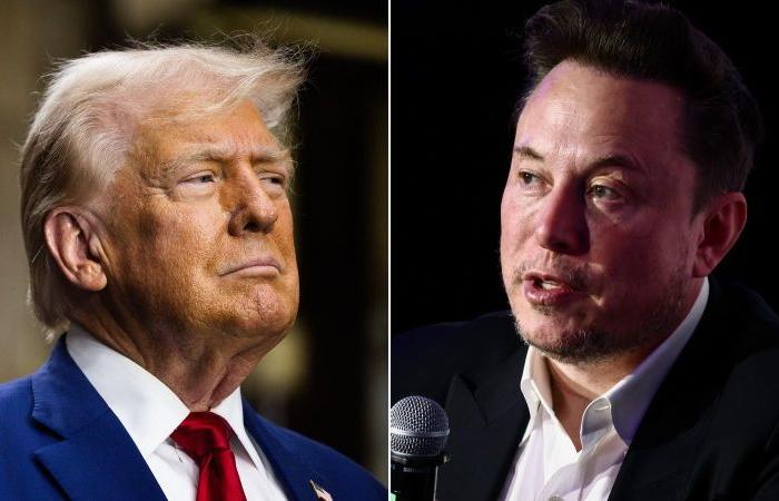 Trump y Musk desatan un nuevo tipo de caos en Washington