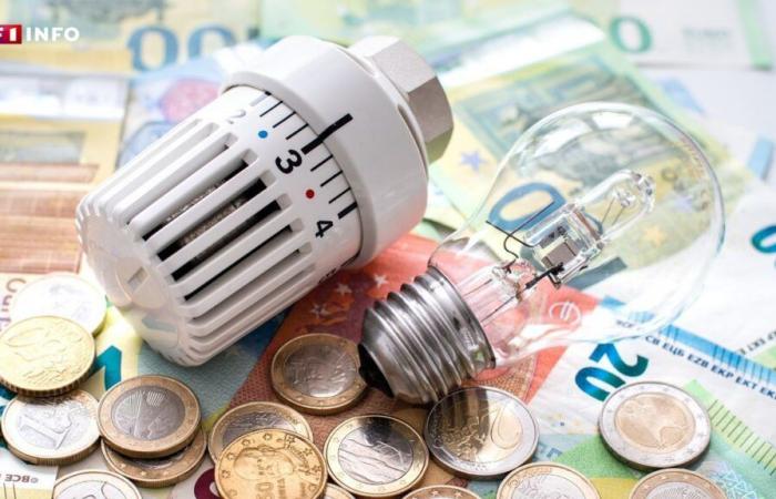 Control energético: cientos de miles de franceses aún no lo han solicitado, el plazo podría ampliarse