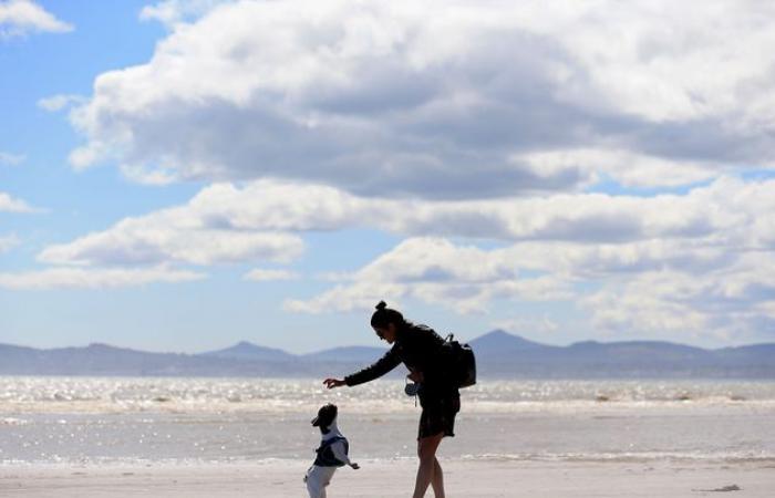 Frío y brillante hoy mientras Met Éireann ofrece perspectivas tempranas para el clima del día de Navidad