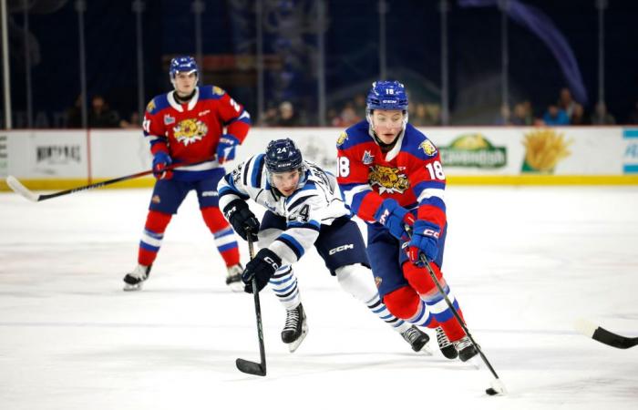 El objetivo de Quebec del canadiense en el draft.