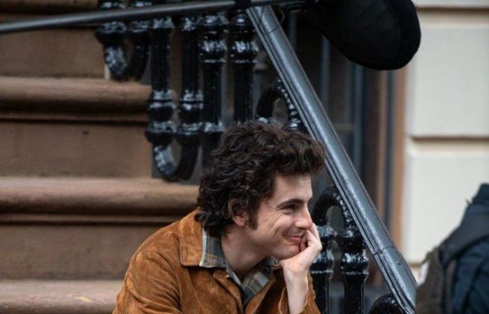 Timothee Chalamet revela el momento en el que Saoirse Ronan lo maldijo