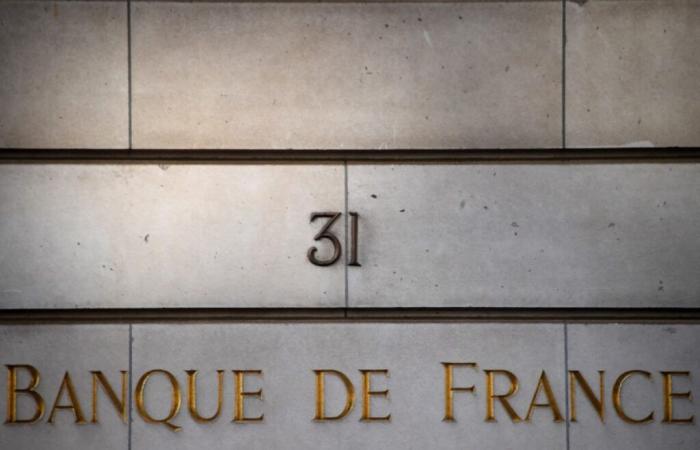 Francia: las insolvencias empresariales disminuyen ligeramente a finales de noviembre – 19/12/2024 a las 11:35