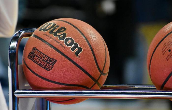 Sacan banderas palestinas durante un partido de baloncesto con un club israelí: la reunión degenera, la policía interviene para poner fin a “los enfrentamientos emergentes entre aficionados”