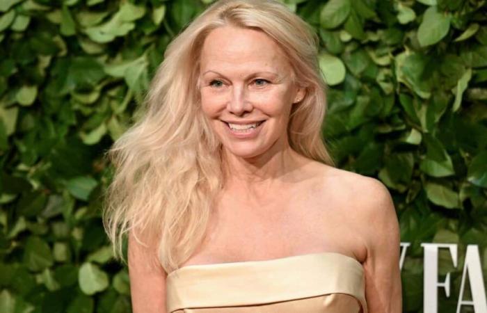 Cinco cosas que debes saber sobre el regreso de Pamela Anderson