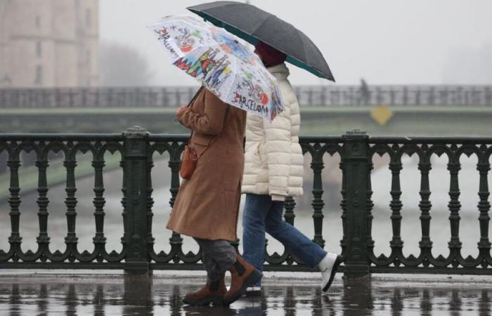 El año 2024 fue uno de los más calurosos y lluviosos de Francia