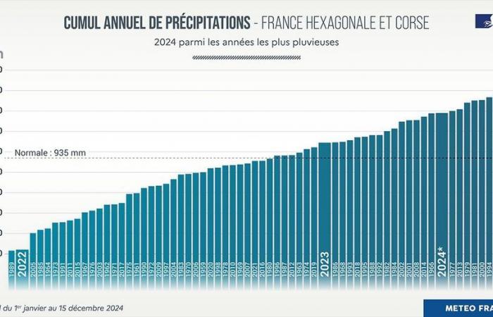 Informe climático 2024 en Francia: precipitaciones, sol, temperaturas… el clima del año en cifras