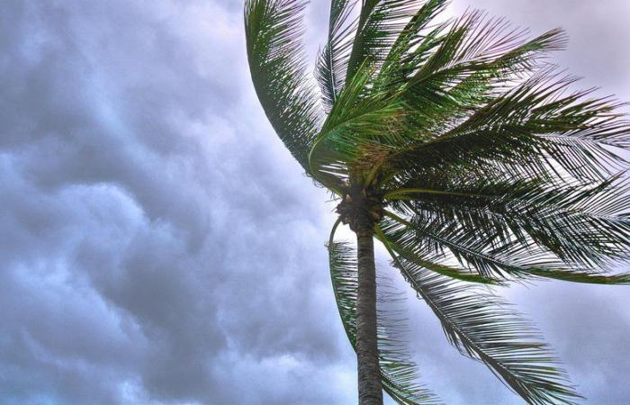 INFORME DEL TIEMPO. La tormenta Dionisio pone a Córcega en alerta naranja este viernes