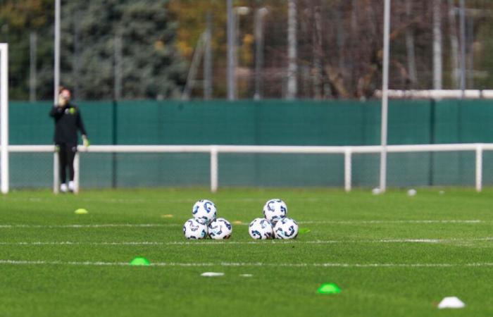 Fútbol: tres hombres acusados ​​de prender fuego a dos coches de educadores de los Colomiers estadounidenses