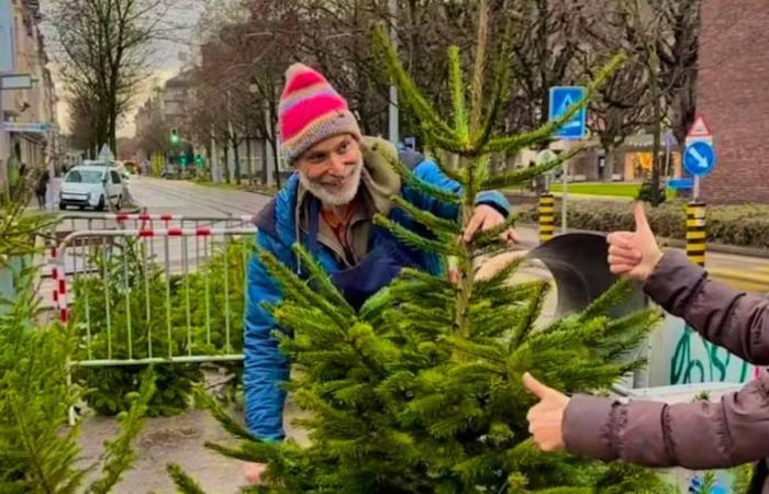 Los vendedores de árboles de Navidad, indefensos ante los robos en Suiza