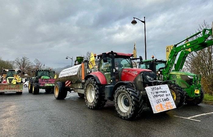 Aveyron. Coordinación Rural apunta a Roquefort y al precio de la leche de oveja en su nueva actuación