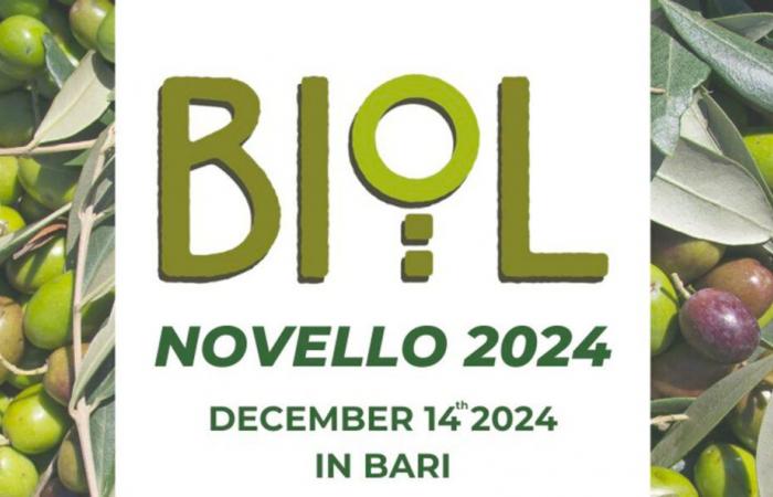 Concurso “Biol Novello” de aceite de oliva: la medalla de oro para una marca tunecina