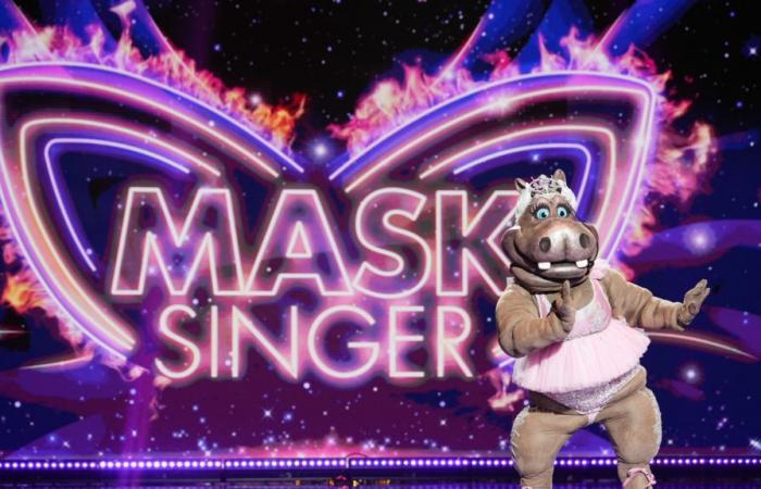 Mask Singer: ¡descubre el jurado de la próxima temporada!