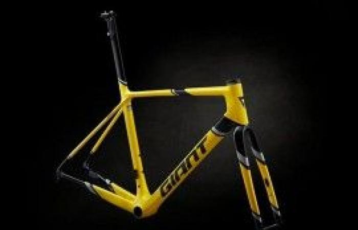 Kit de cuadro TCR Advanced SL Edition Legends, el renacimiento de un mito