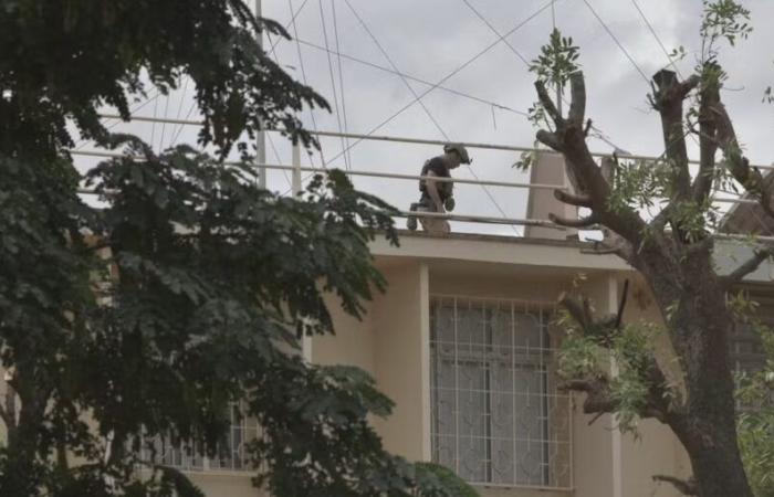 Burkina: Los cuatro rehenes franceses liberados tras la mediación de SM el Rey