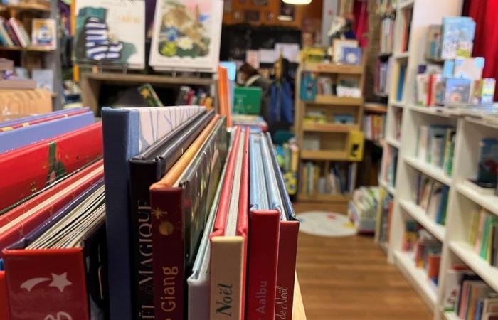 ¿Pronto dos millones de euros para ayudar a los libreros?