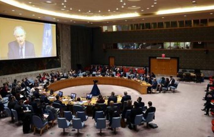 El Consejo de Seguridad de la ONU pide un proceso político “inclusivo” y “dirigido por Siria”