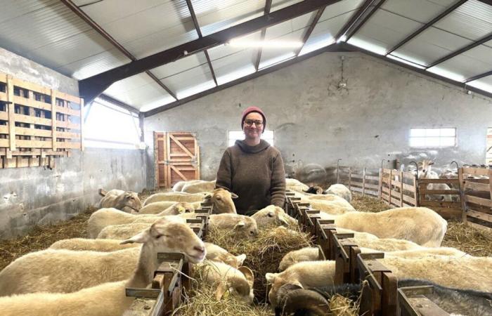 Después de trabajar por toda Francia, se mudó al Jura para convertirse en criadora.