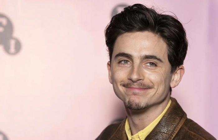 Timothée Chalamet admite que escribir discursos de aceptación de premios que perdió lo hizo sentir como un ‘imbécil narcisista’