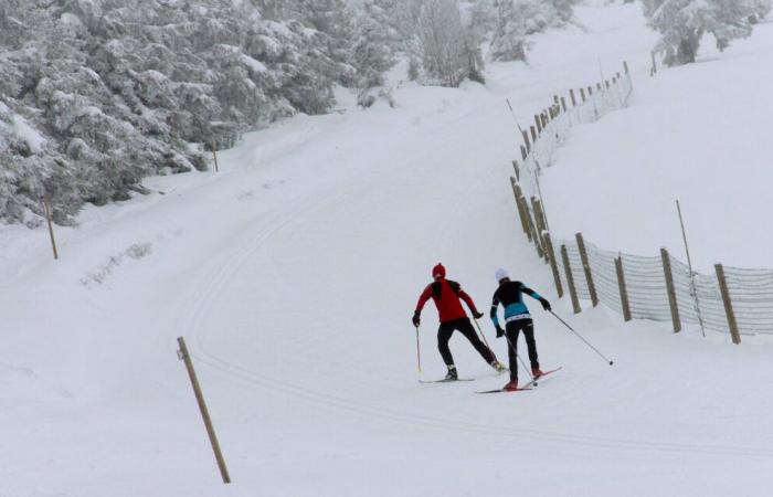 En Lozère, varias estaciones de esquí ya han abierto sus pistas, otras seguirán