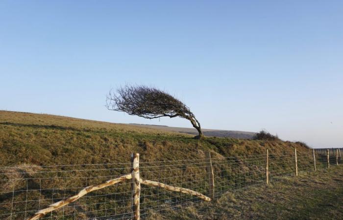 Estado Emiten aviso meteorológico amarillo para el norte