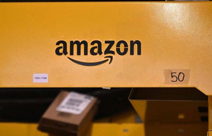 Huelga en Amazon en Estados Unidos justo antes de Navidad