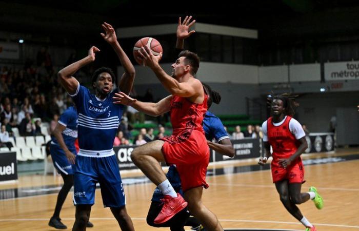 Tolosa. N1 masculino: los Toros en Lorient para validar su nuevo equilibrio