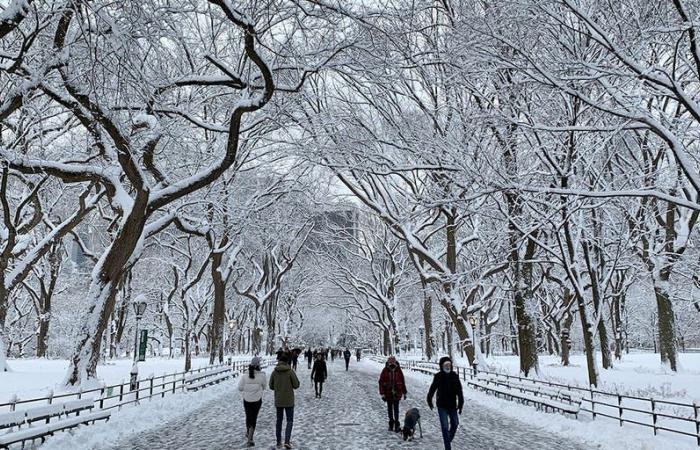 La ciudad de Nueva York a Boston enfrenta la amenaza de precipitaciones heladas durante el fin de semana