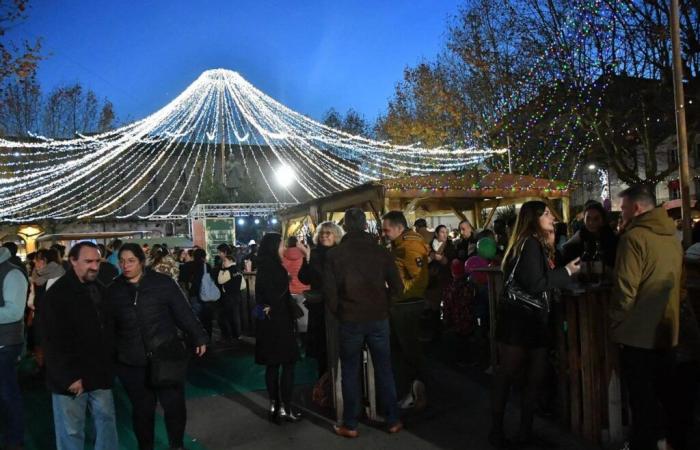 Mercados navideños y espectáculos para ver en familia