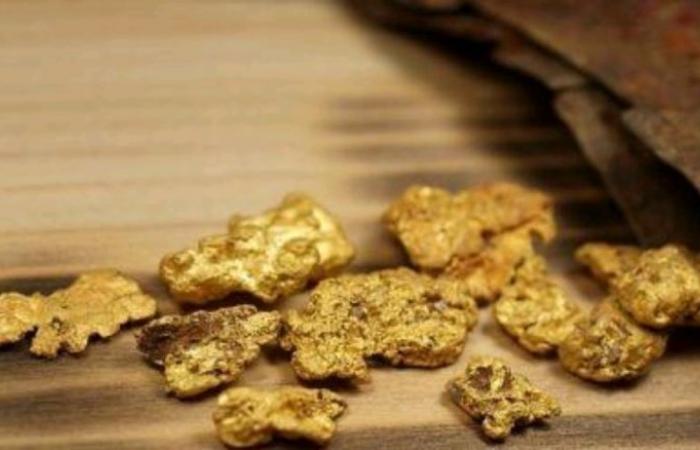 Incautados 28,6 kg de oro, una fortuna robada al Estado”