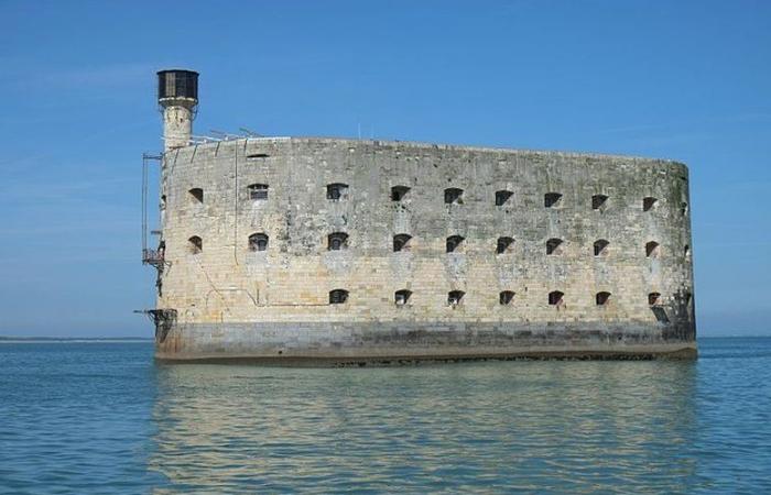 VIDEO. Fort Boyard: faltan 9 millones de euros para salvar el escenario legendario del concurso, se lanzó una convocatoria de donaciones