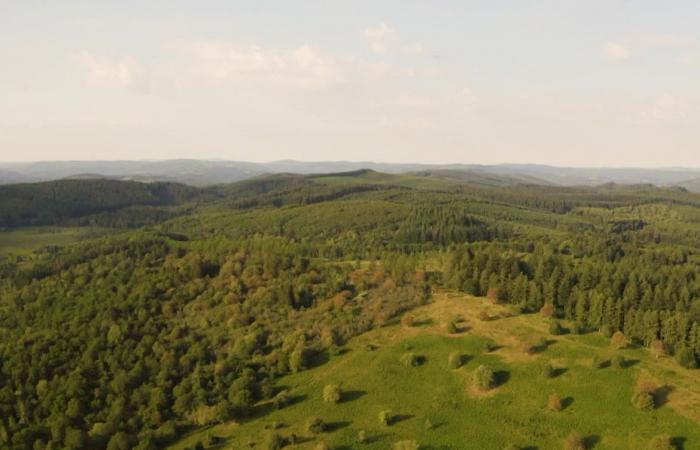 Doce habitantes por km². El parque natural regional de Millevaches, este “territorio rural atractivo pero frágil”, según el INSEE