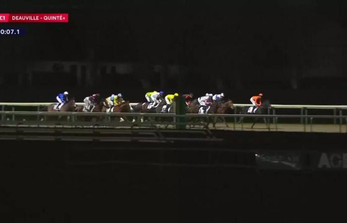 Quinté+: PRIX DE LA SUISSE NORMANDE – DEAUVILLE – 19/12/2024: corredores, predicciones y resultados en vídeos – Carrera 1