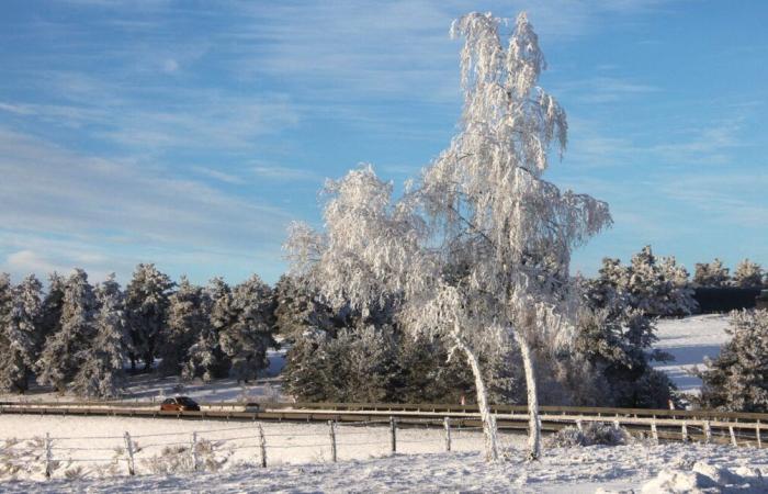 Grenoble e Isère en alerta por nieve, hielo y vientos violentos, según las previsiones