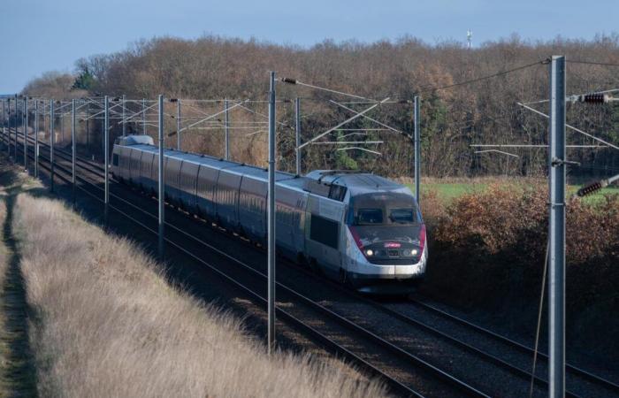 El tren bate récords de asistencia a pesar del precio y de la degradada puntualidad, según un informe