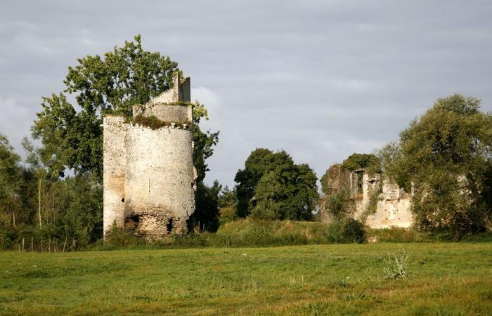 Lotería del patrimonio. Un millón de euros recaudados para estos dos castillos, este jardín, este molino y este centro histórico de Pays de la Loire