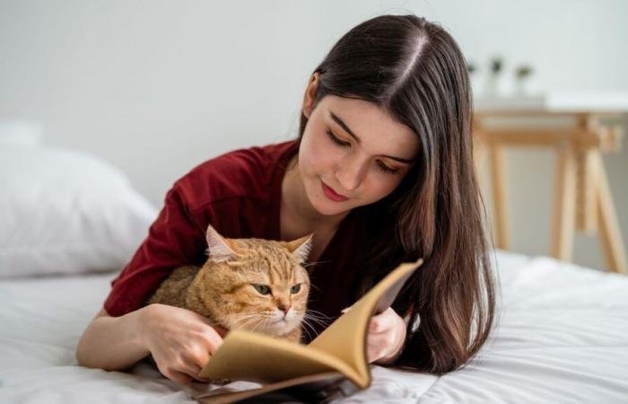 ¿Qué libros regalar a los amantes de los animales en Navidad?