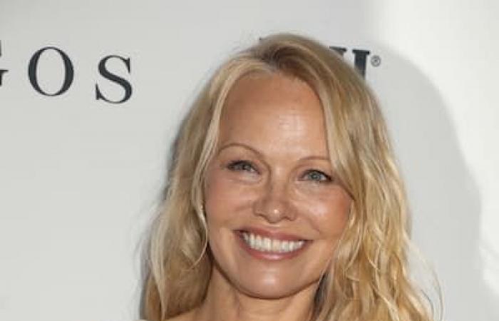 Cinco cosas que debes saber sobre el regreso de Pamela Anderson