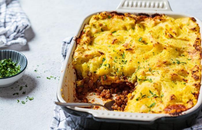 ¿Qué vino acompañar con parmentier de pato? ¡Aquí tienes la elección perfecta para una comida cálida y deliciosa! – Masculin.com