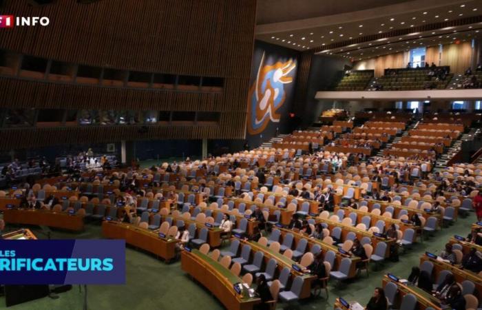 VERIFICAR – ¿Francia y Ucrania rechazaron una resolución de la ONU contra la glorificación del neonazismo?