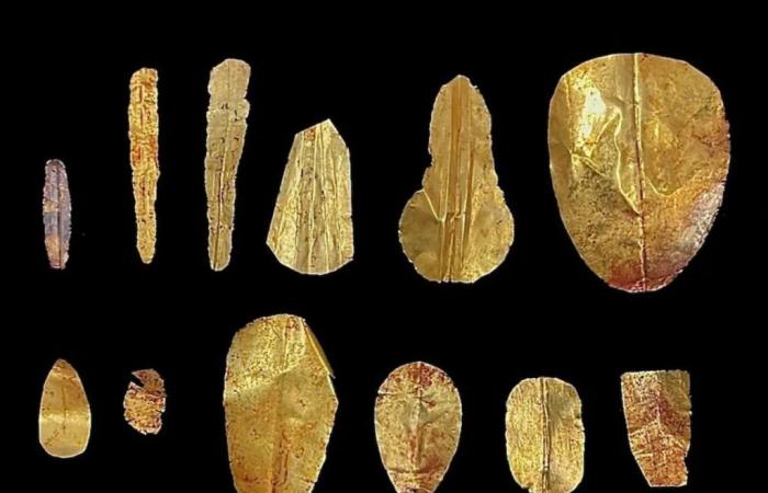 Momias con lenguas doradas revelan rituales sagrados del antiguo Egipto