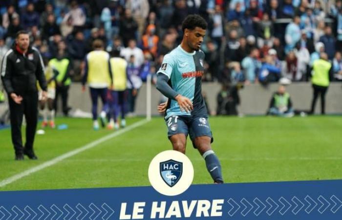 Fortalecer sin hundirse, la doble misión de Le Havre