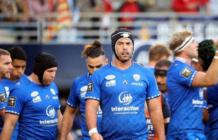 Top 14 – Un importante pase de tres para Vannes