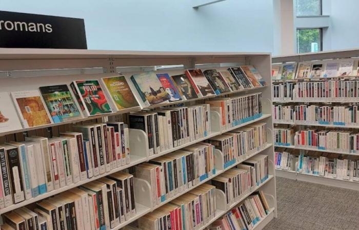 Los libros más prestados en 2024 en las bibliotecas