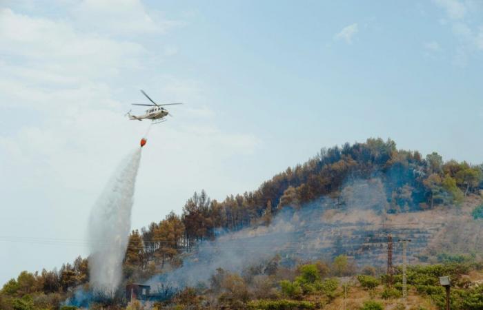 Entidades andaluzas colaboran para prevenir y combatir incendios forestales