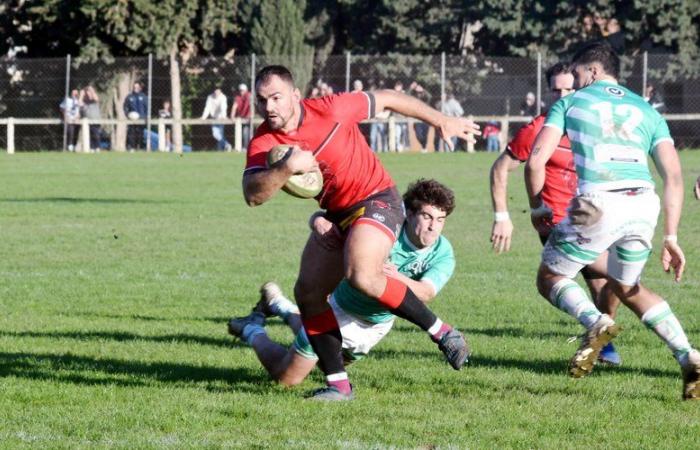 Corbières XV como favorito, Arpal en carrera, Trèbes en la dura