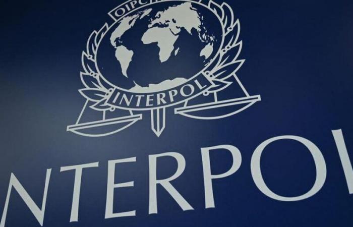 Asesinato, violación de una menor, tráfico de drogas… 58 fugitivos “peligrosos” detenidos durante una operación de Interpol