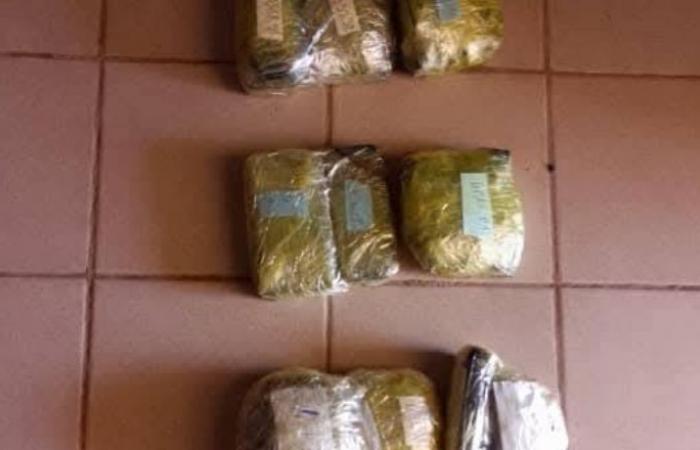 Tres individuos detenidos con 28,6 kg de oro en la frontera con Togo – Sahel Intelligence