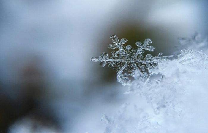 ¿Cómo será el clima durante las vacaciones de Navidad?