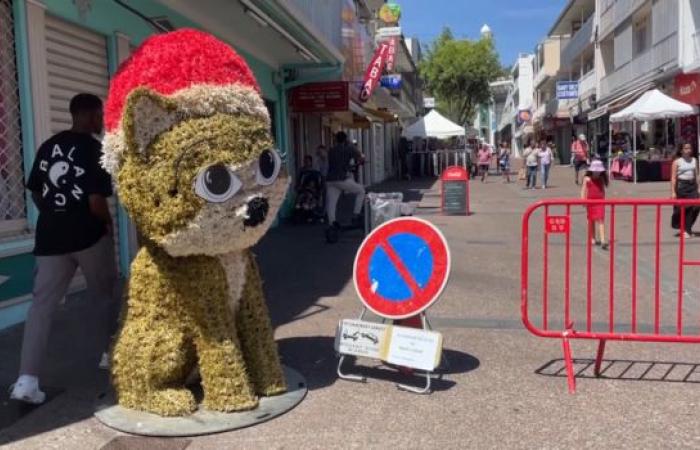 20 de diciembre: no hay respiro para los comerciantes en este día festivo